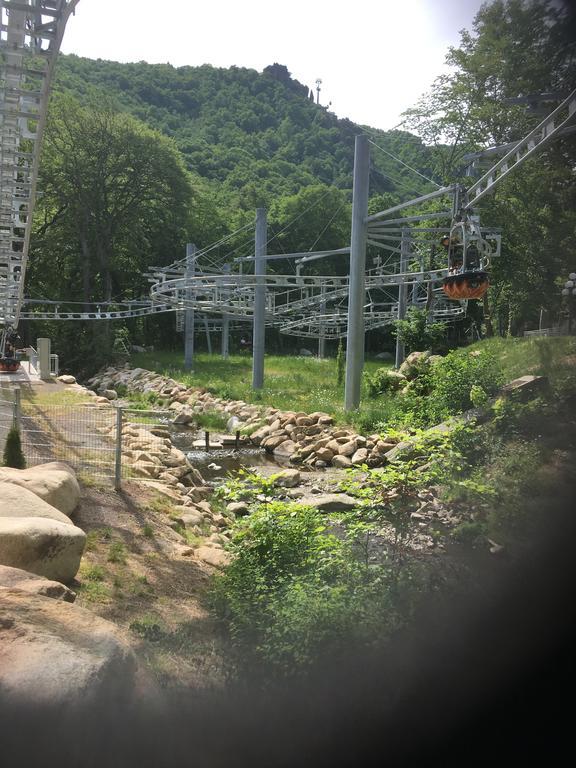탈레 Rosstrappensicht 아파트 외부 사진